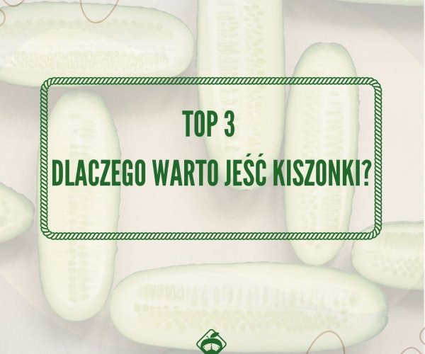 Dlaczego warto jeść kiszonki?